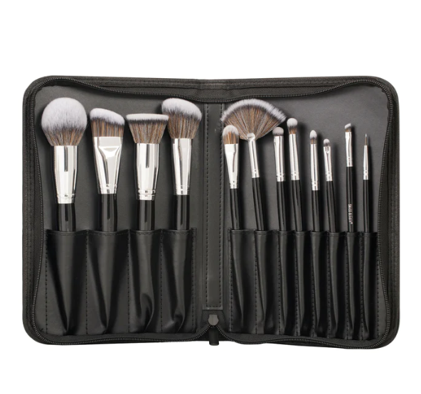 Swiss Beauty PRECISION ARTE MAKEUP BRUSH 12 PCS SET