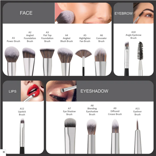 Swiss Beauty PRECISION ARTE MAKEUP BRUSH 12 PCS SET