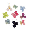 New design 5D dried nail flower in 12 colors (Grid)