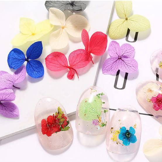 New design 5D dried nail flower in 12 colors (Grid)