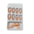 products/11_bc995d67-5049-4db1-81f5-8428b205c9d9.png