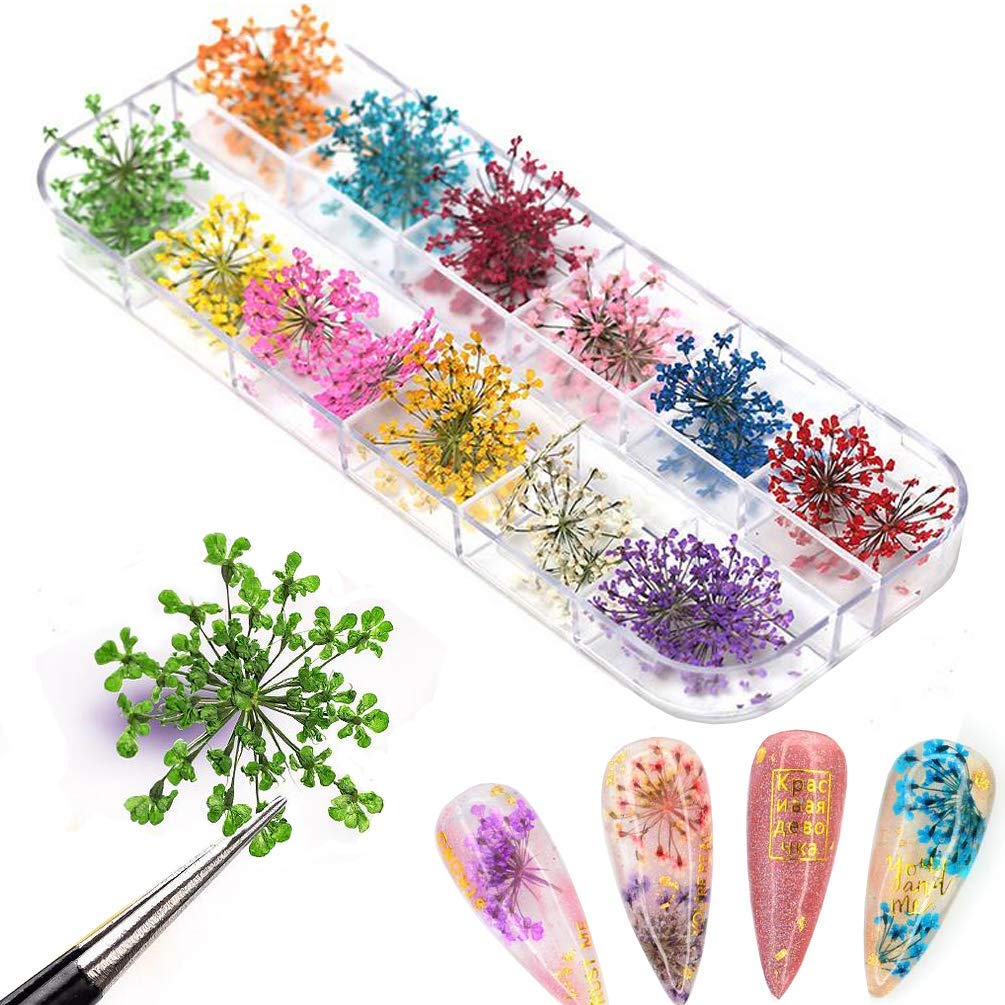 Mix Dried Flowers Nail Decorations Jewellery Natural Floral Leaf Stick   Fashion Storm India