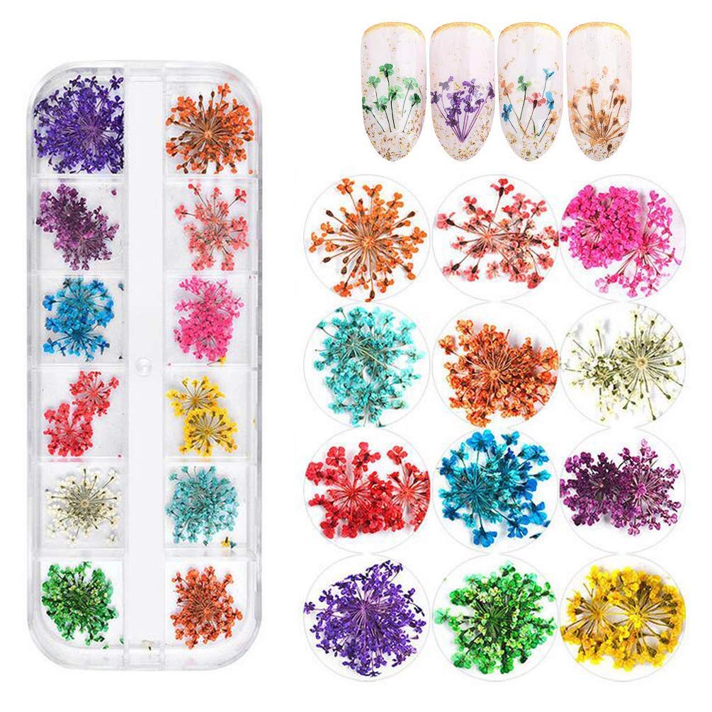 BeautyQua Best Quality 12 Sheet of Random Mix design Nail Art stickers For  attractive looks nails - Price in India, Buy BeautyQua Best Quality 12  Sheet of Random Mix design Nail Art