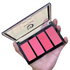 Matt Look Matte blusher kit 4 in 1 (Shade-01)