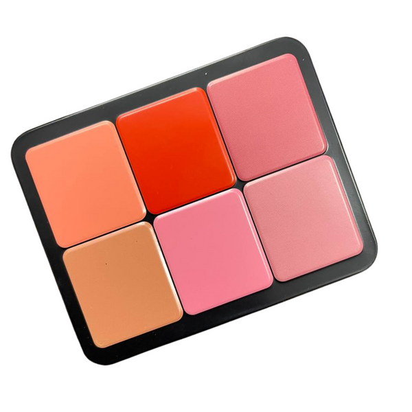 Professional Makeup Ultra Invisible Cover Cream Blush and Contour 24g , 6 Base shades & 6 Blushes also use as Lip Tint